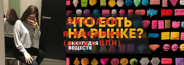 индика Дмитровск