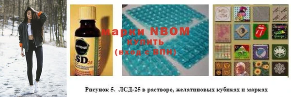 индика Дмитровск