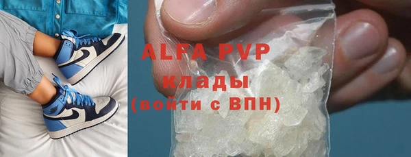 индика Дмитровск