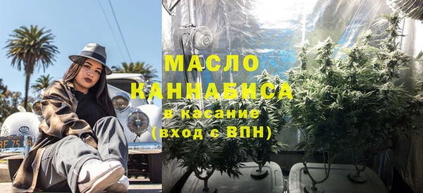 мет Дмитриев