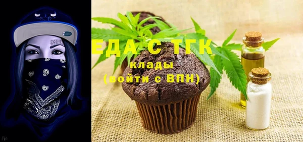 индика Дмитровск