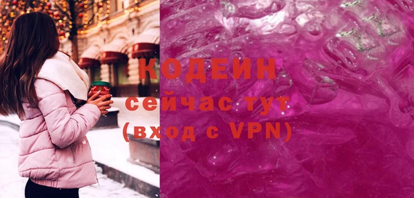 индика Дмитровск