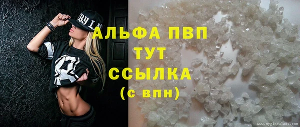 индика Дмитровск