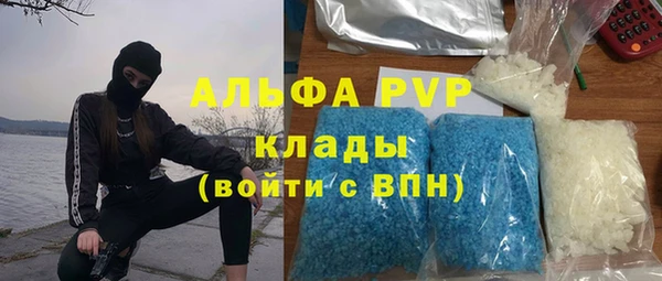 индика Дмитровск