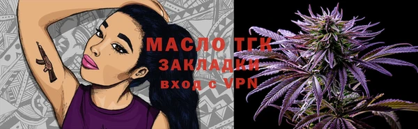 индика Дмитровск