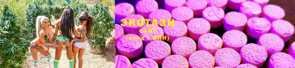 мет Дмитриев